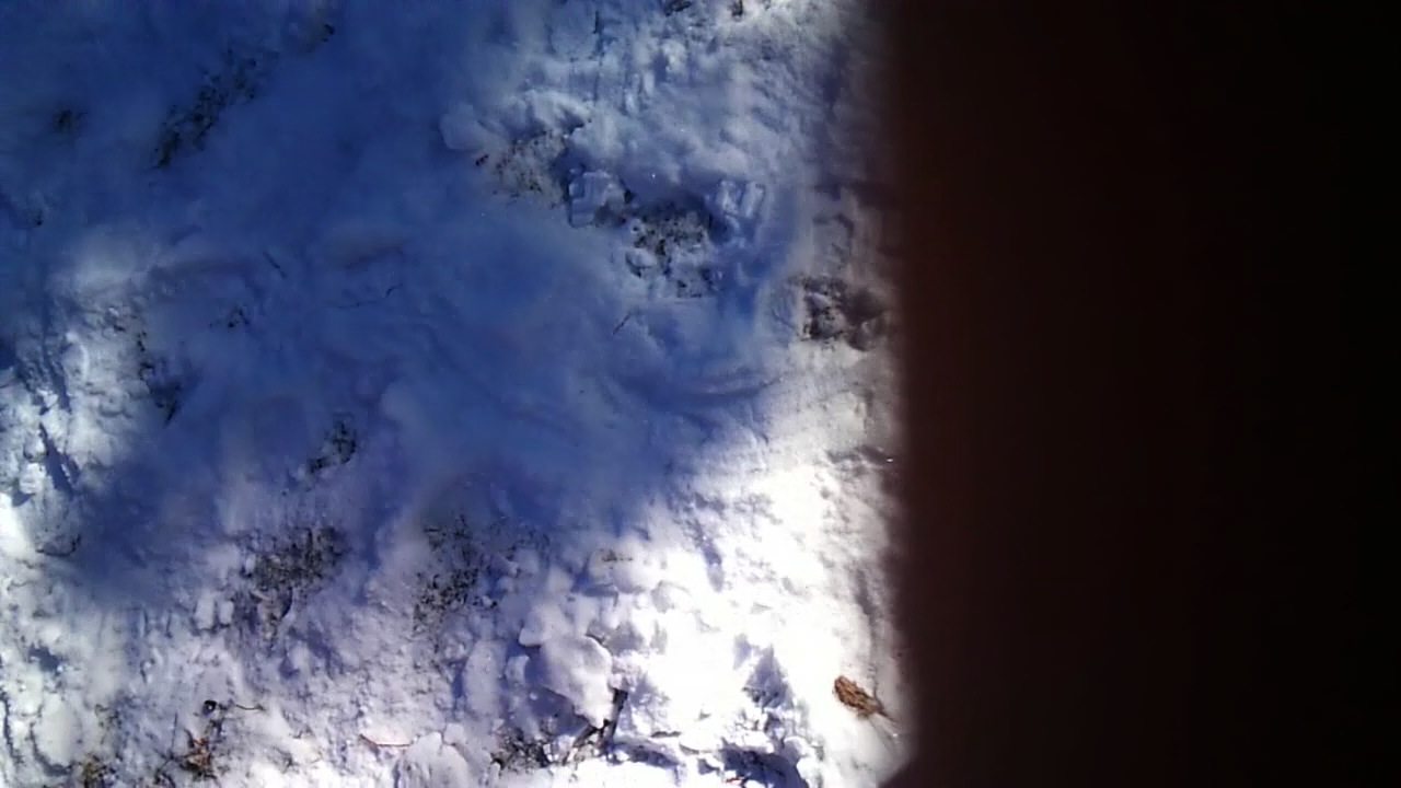 MOV_0157.mp4
