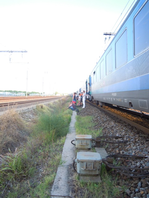 Loading Image