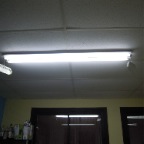 DSCN1515