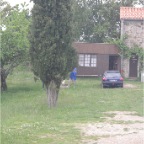 IMGP3207