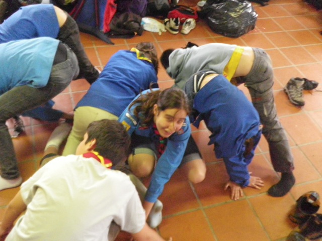 Loading Image