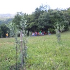 DSCN0040