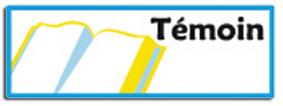 Insigne_sgdf_equipage_temoin
